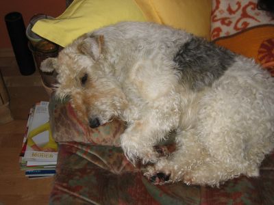 Nachtwanderung 2008 - Foto 14