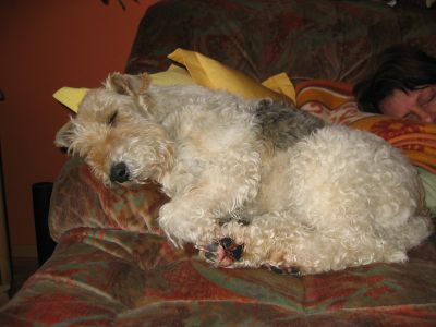 Nachtwanderung 2008 - Foto 15
